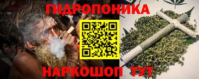 сатива Анапа