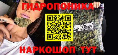 сатива Анапа